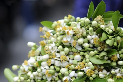 Tháng ba – Tháng yêu thương!