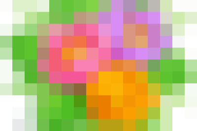 Chuỗi hoạt động chào mừng Kỷ niệm 40 năm ngày Nhà giáo Việt Nam của học sinh trường THCS YÊN PHƯƠNG